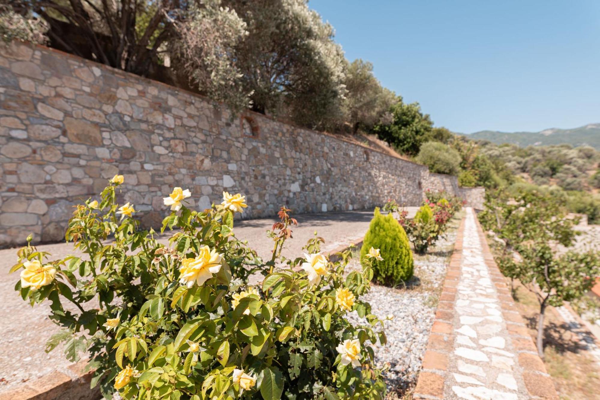 Villa Vicky Πυθαγόρειο Εξωτερικό φωτογραφία