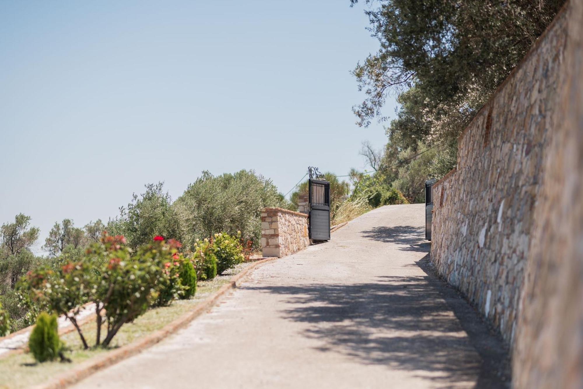 Villa Vicky Πυθαγόρειο Εξωτερικό φωτογραφία