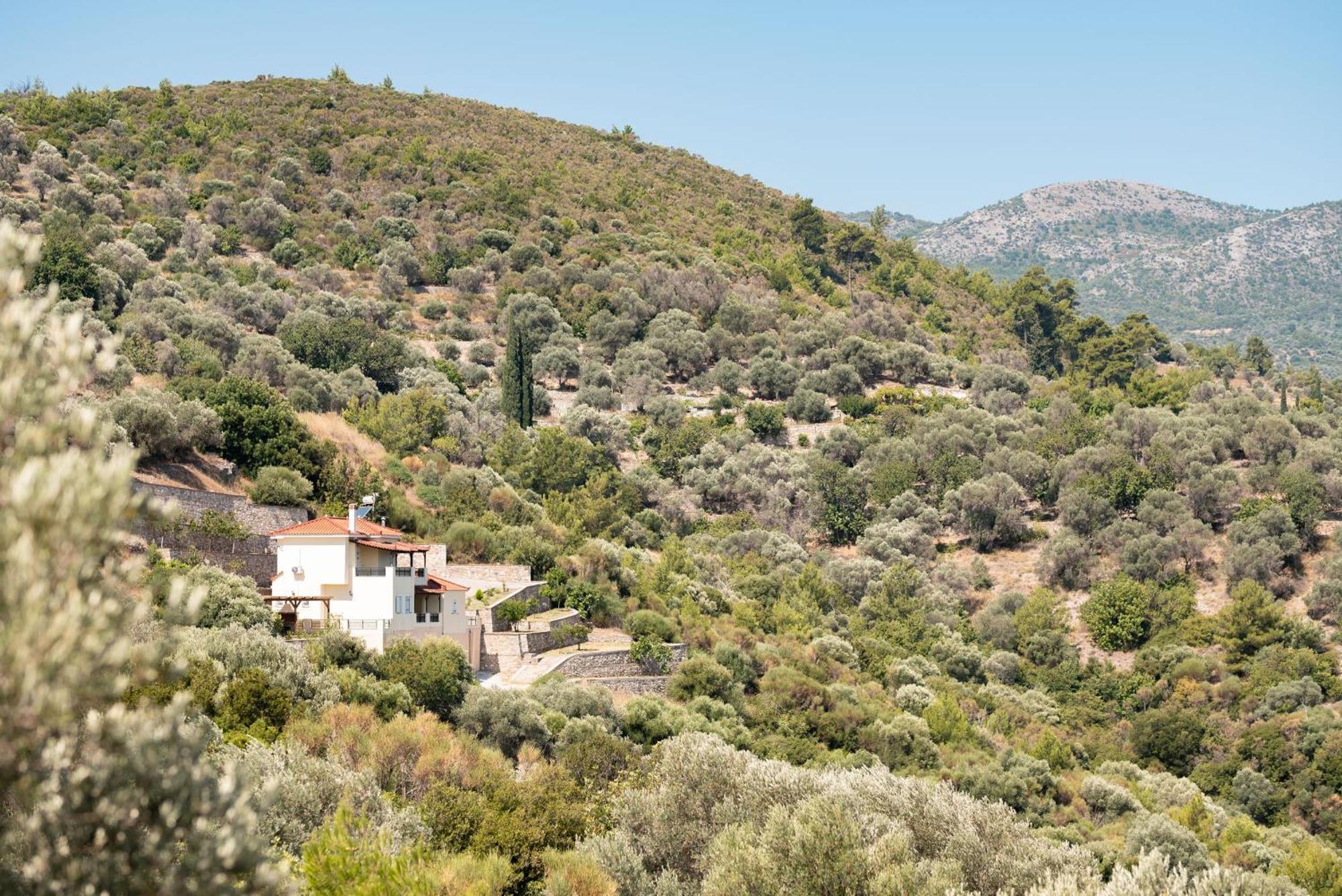 Villa Vicky Πυθαγόρειο Εξωτερικό φωτογραφία